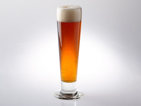 California Common beer in Pilsner glass