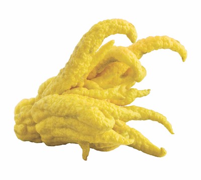 Buddha's Hand Citron