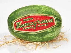 Whole watermelon with Homegrown logo carved into it.