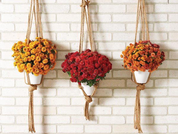 How To Make Hanging Flower Pots Hy Vee