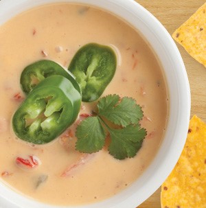 Yellow queso dip with tomato chunks, sliced jalapenos, and fresh cilantro