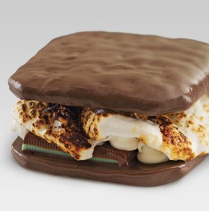 Chocolate covered graham crackers sandwiching roasted marshmallow, white chocolate chips and chocolate mint candies