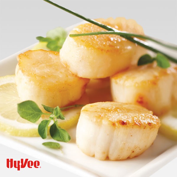 Plate of sea scallops covered in citrus herb marinade