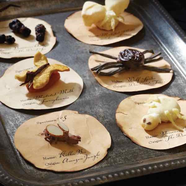 Edible Specimens made from Assorted Candies and Nuts