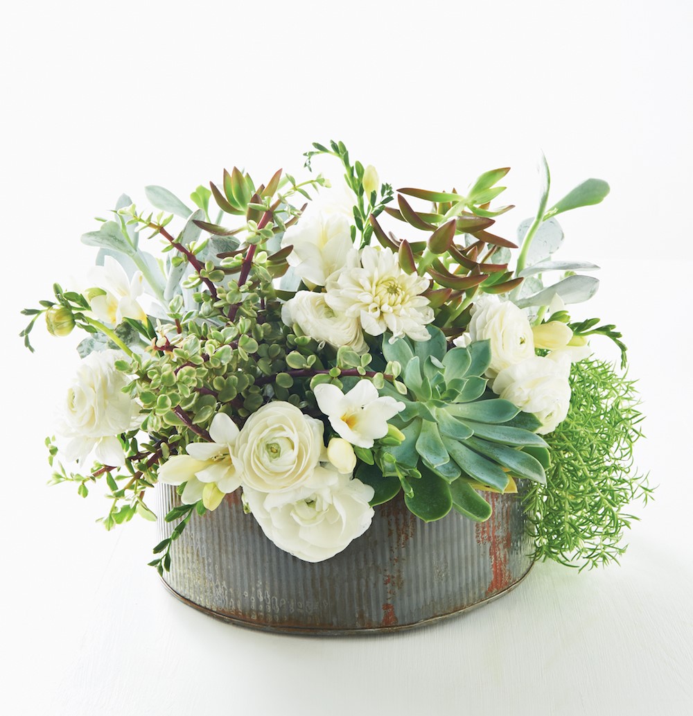 Succulents with White Flours in a Rustic Pot