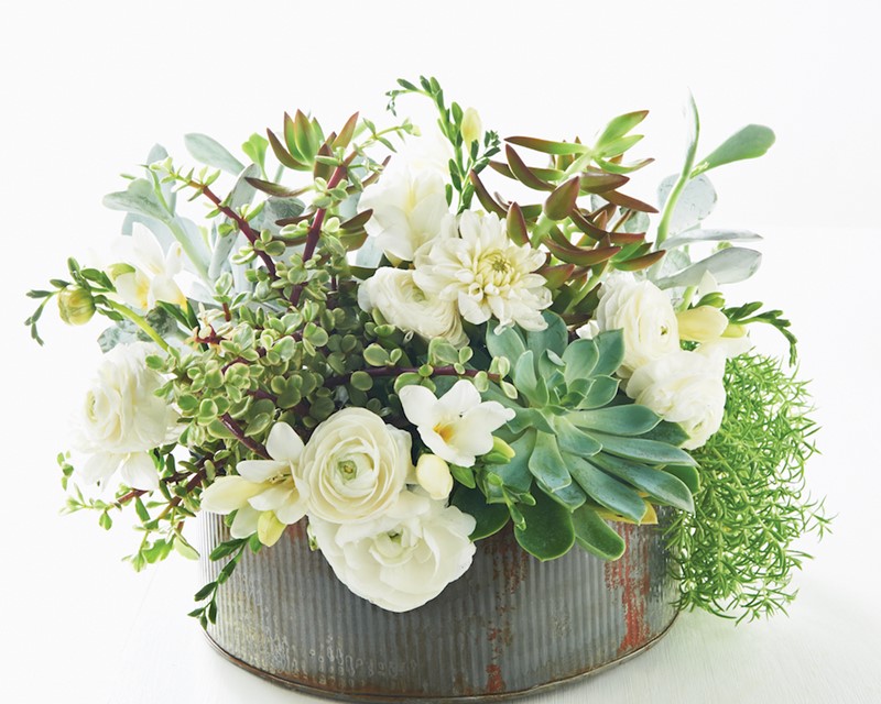 Succulents with White Flours in a Rustic Pot