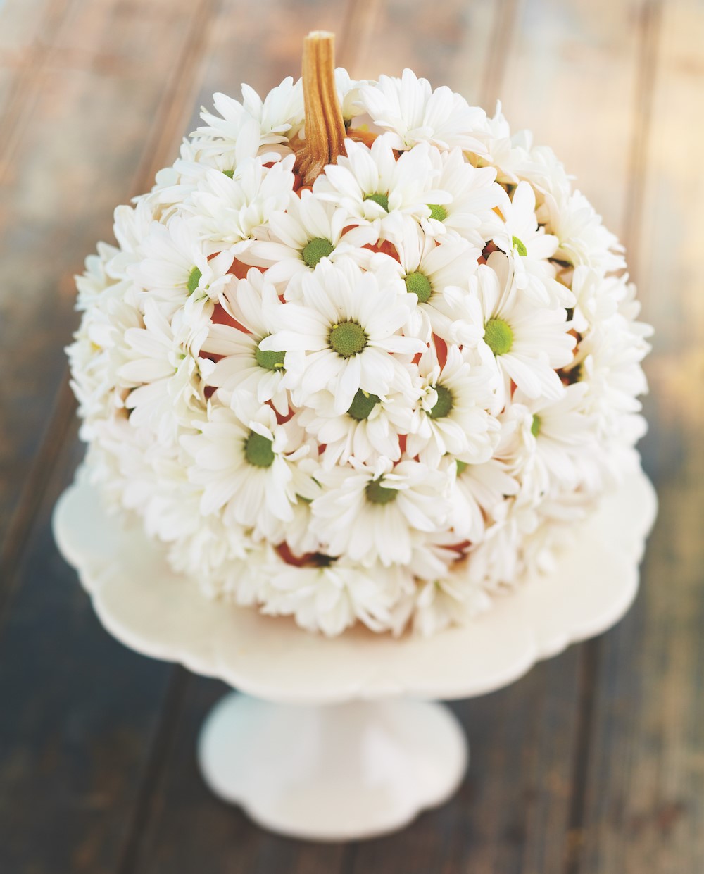 White mums placed over pumpkin on a white cake stand