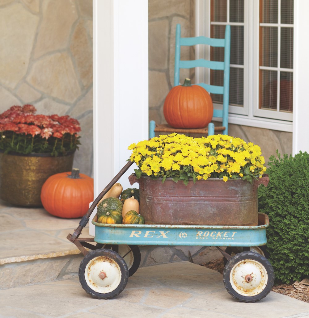 Yellow mums in a rustic pot son a blue wagon surrounded by pumpkins and various squashes