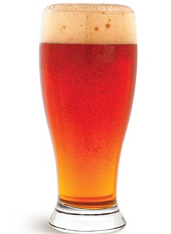 Sierra beer in glass