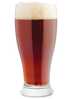 Octoberfest dark beer in glass with foam