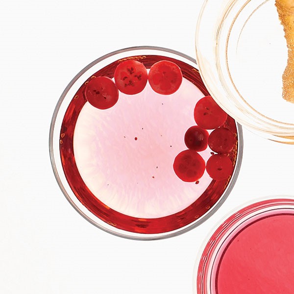 Glass of cranberry-infused wine garnished with cranberries