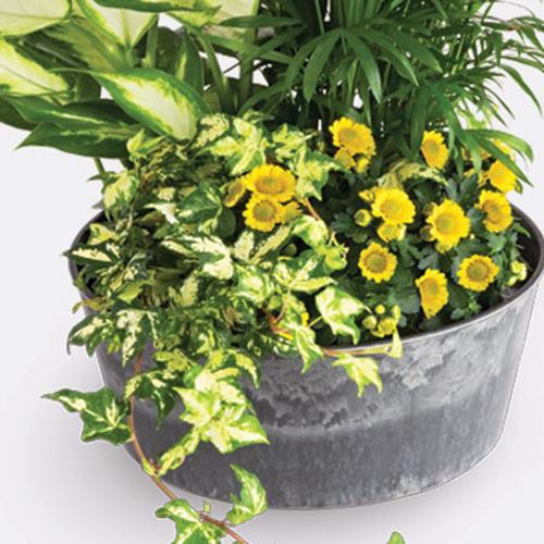 Florist S Choice Fresh Arrangement Hy Vee Aisles Online Grocery Shopping