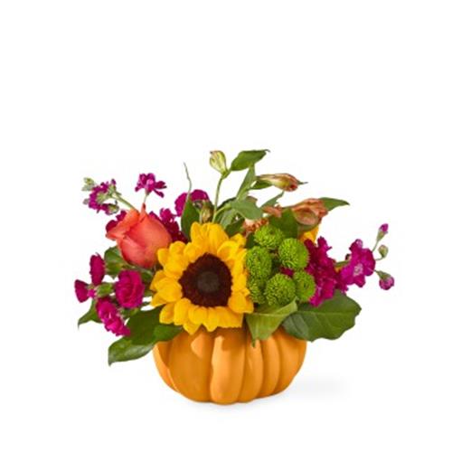 FTD Bippity Boppity Pumpkin | Hy-Vee Aisles Online Grocery Shopping