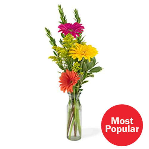 Just For You | Hy-Vee Aisles Online Grocery Shopping