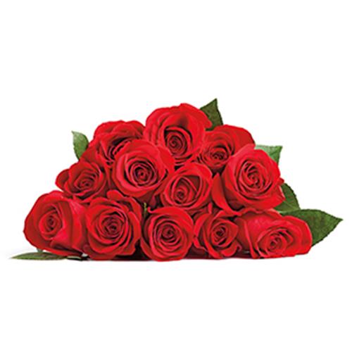 Dozen Roses | Hy-Vee Aisles Online Grocery Shopping